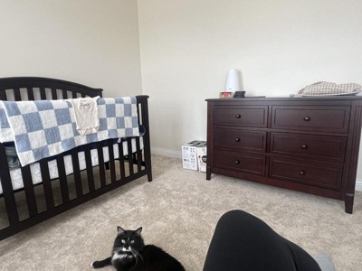 Guest review image 1 of 1, zoom in