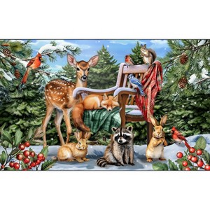 Briarwood Lane Winter Doormat 30x18 Indoor Outdoor Snow Day Friends For Winter Doormat - 1 of 4