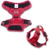 Venture Paw Pull Control Dog Harness - Crimson - 4 of 4