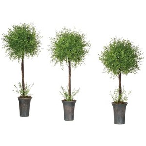 Sullivans Artificial 23", 26" & 30" Feather Fern Topiary Tree Set of 3 - 1 of 3