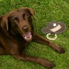 Pavilion Gift Company - Howdy - 11" x 8.5" Canvas Dog Toy on Rope - Pet Toy - 2 of 4