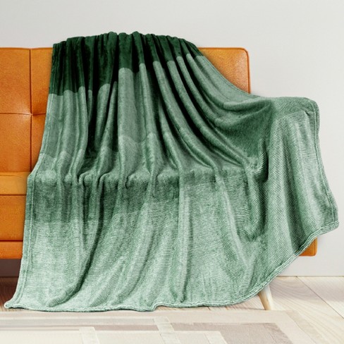 PAVILIA Premium Fleece Throw Blanket for Sofa Couch Soft Flannel Plaid Stripe Decorative Print Blanket Gradient Green Throw 50x60