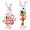 Northlight Bunny Rabbit Figurines with Easter Sign Spring Decorations - 19" - Pink and Green - Set of 2 - 4 of 4