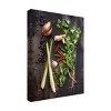 Trademark Fine Art -Johanna 'Vegetables' Canvas Art - 4 of 4