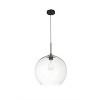 Elegant Lighting Baxter 1 Light Black Pendant With Clear Glass - 3 of 4