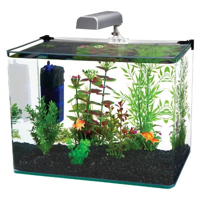 5 gallon aquarium kit