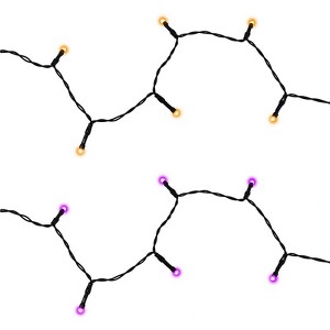 Celebrations Halloween Orange/Purple 50 ct 1 in. LED Light String Lights (Case of 12) - 1 of 1