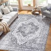 Acekool  Rug - Machine Washable Non-Slip Indoor Carpet for Living Room & Bedroom - 2 of 4