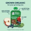 Gerber Organic Baby Food Stage 2 Pear Blueberry Apple Avocado Puree Pouch - 3.5oz - image 3 of 4