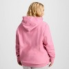 Champion Adult Sizing Iconic Embroidered Hoodie - 4 of 4
