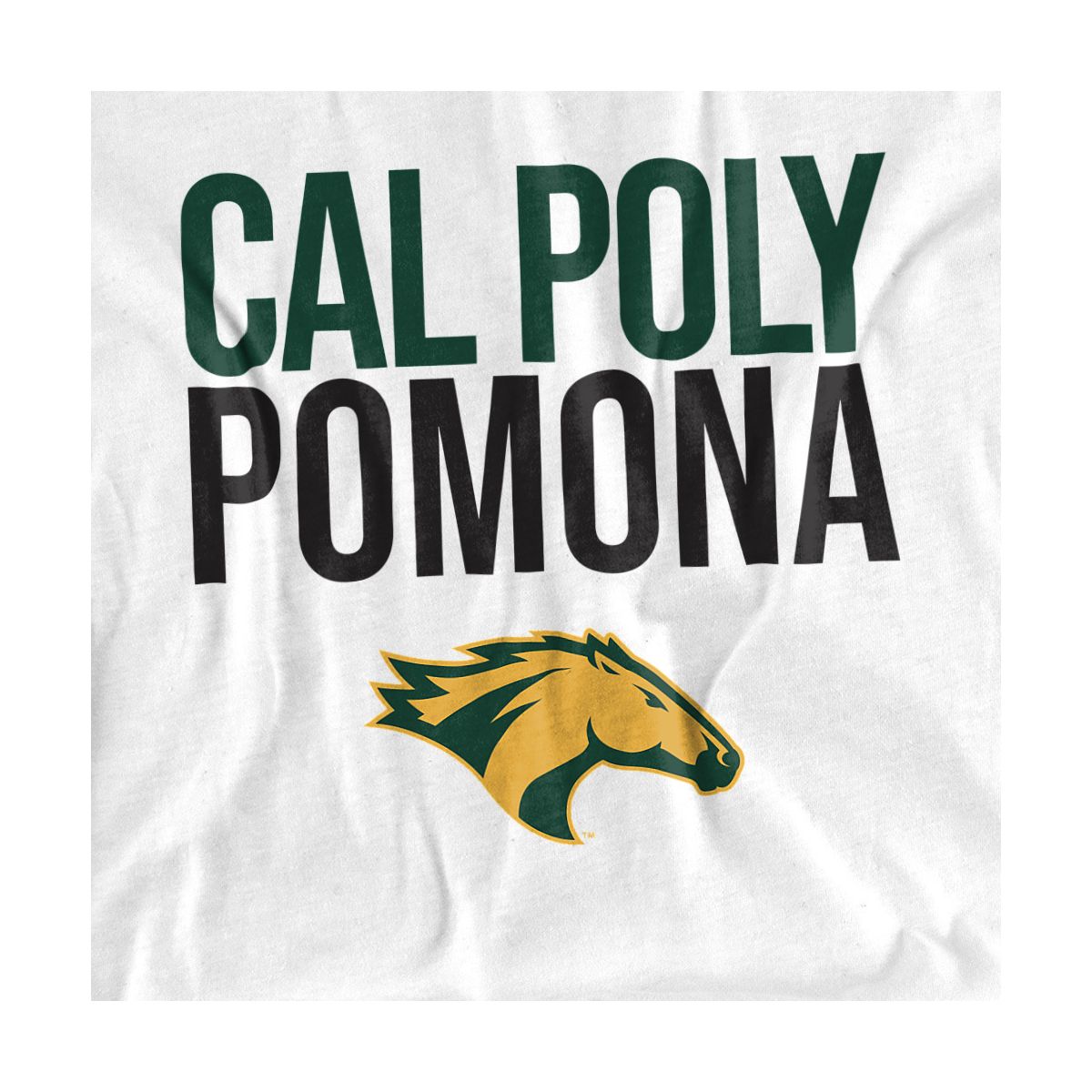 Men's California State Polytechnic University Pomona Official T-Shirt - thumbnail 10