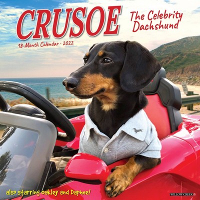 2022 Wall Calendar Crusoe the Celebrity Dachshund - Willow Creek Press