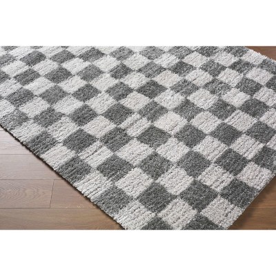 Hauteloom Belita Living Room, Bedroom Area Rug - Contemporary - High Pile