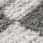 charcoal, white, medium gray