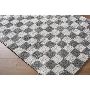 Hauteloom Belita Living Room, Bedroom Area Rug - Contemporary - High Pile - 1 of 4