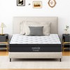 Dexmalle 10 Inch Hybrid Mattress With Individually Pocketed Innerspring - 2 of 4