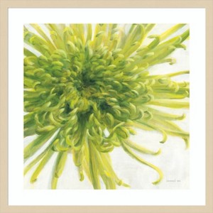 Amanti Art Contemporary Chrysanthemum by Danhui Nai Wood Framed Wall Art Print - 1 of 4