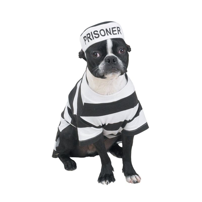 Casual Canine Prison Pooch Costume, 3 of 5