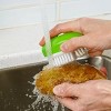 Racxily (4 pack) Fruit & Veggie Cleaning Utility Scrub Brush Palm Style Multi Purpose Brush, Green - 3 of 4