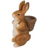 Northlight Standing Bunny Carrying a Basket Outdoor Garden Statue - 16.75" - 4 of 4
