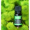 Plantlife Protect Essential Oil Blend – 100% Pure & Therapeutic – Natural, Undiluted & Immune-Supporting – No Additives – 10ml Aromatherapy - 4 of 4