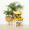 Gallerie II Paulina Pansy Figurine - 2 of 3