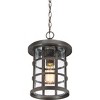 Crusade 1-Light Outdoor Hanging Lantern - 3 of 4