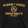 Albany State University Official Circle Logo Adult Pull-Over Hoodie - 2 of 4