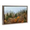 Stupell Industries Autumn Mountain Overview Floating Frame Canvas Art - 2 of 4