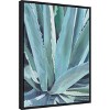 Amanti Art Blue Agave by Alana Clumeck Canvas Wall Art Print Framed 18 x 24-in. - 3 of 4