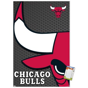 Trends International NBA Chicago Bulls - Logo 14 Unframed Wall Poster Prints - 1 of 4
