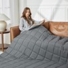 Inhand Weighted Blanket (Queen 60"x80") - Cooling Heavy Blanket with Glass Beads - All-Season Breathable Soft Comfort Microfiber Blanket - 2 of 4