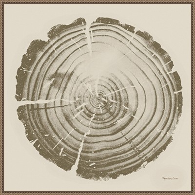Tree Trunk Cream II Abstract Canvas Print with Bronze Floater Frame