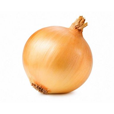 Fresh Yellow Onion - each