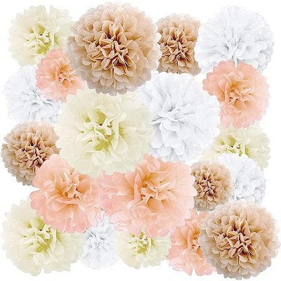 Epiqueone 20 Piece Tissue Paper Pom Poms Party Kit - Colorful Paper Flower  Wall Decorations : Target
