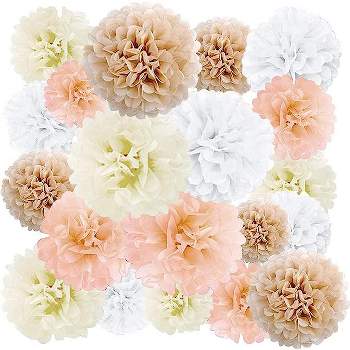 EpiqueOne 20 Piece Tissue Paper Pom Poms Party Kit - Colorful Paper Flower Wall Decorations