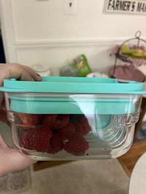 Bento Snack Container with Removeable Divider – Mint by Packit LLC at the  Vitamin Shoppe