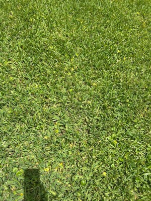 Guest review image 2 of 4, zoom in