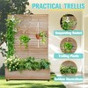 TOAOTBNBO Metal Raised Garden Bed with Trellis and Wheels, Metal Planter Box with Trellis, Garden Box for Climbing Plants, Flower - 3 of 4