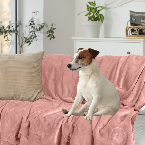Target dog blanket hotsell