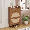 MAYEERTY Rattan Shoe Cabinets 2 Doors 1 Drawers Shoe Rack Double Layer Suitaable for Entrance Walnut - 3 of 4