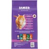 IAMS Proactive Health with Chicken Kitten Premium Dry Cat Food - 2 of 4