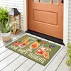 Liora Manne Frontporch Casual Indoor/Outdoor Rug.. - 4 of 4