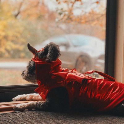 Red Metallic Devil Dog And Cat Hoodie Costume - Hyde & Eek! Boutique™ :  Target