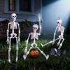 FUN LITTLE TOYS 3PCS Halloween Decorations Hanging Skeleton with Movable Posable Joints, Spooky Plastic Skeleton for Yard Garden - 3 of 4