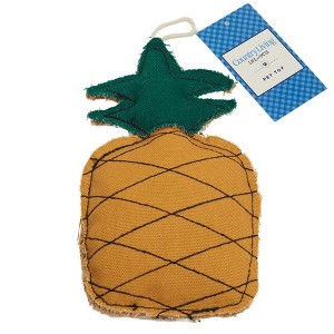 Country Living Sustainable Canvas & Jute Pineapple-Shaped Dog Chew Toy – Durable and Non-Toxic - 1 of 4