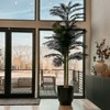Nearly Natural 10-ft Triple Stalk Golden Cane Artificial Palm Tree - 3 of 4