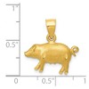 Black Bow Jewelry 14k Yellow Gold 2D Satin and Diamond Cut Pig Pendant - 4 of 4