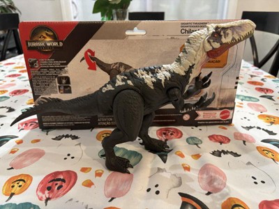 Guest review image 4 of 4, zoom in