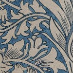 Snakehead Blue Rose